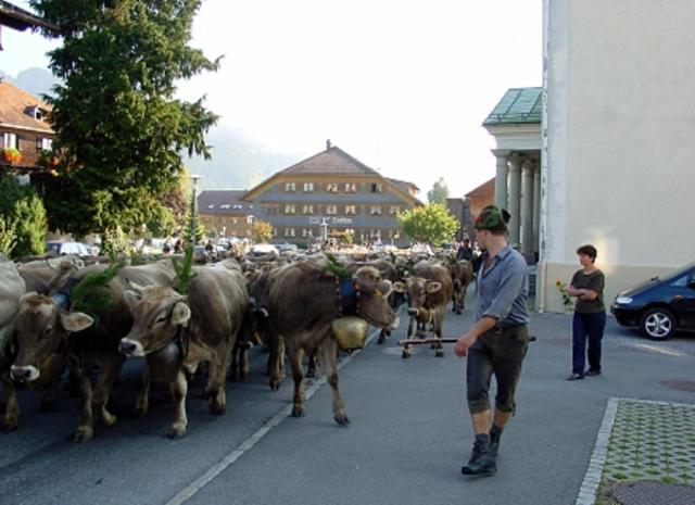 Hotel Oxa Hittisau Dış mekan fotoğraf